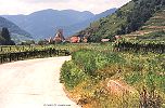 The Donau Bike Path in Wachau