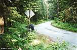 Denny Creek - Snoqualmie Pass, Washington