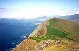 Dingle, as seen from the Great Blasket Island